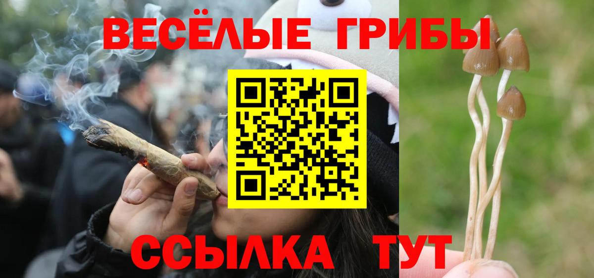 Псилоцибиновые грибы ЛСД Надым